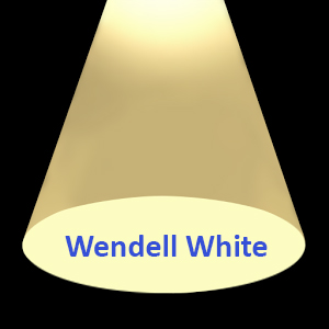 In_The_Spotlight - Wendell White.jpg